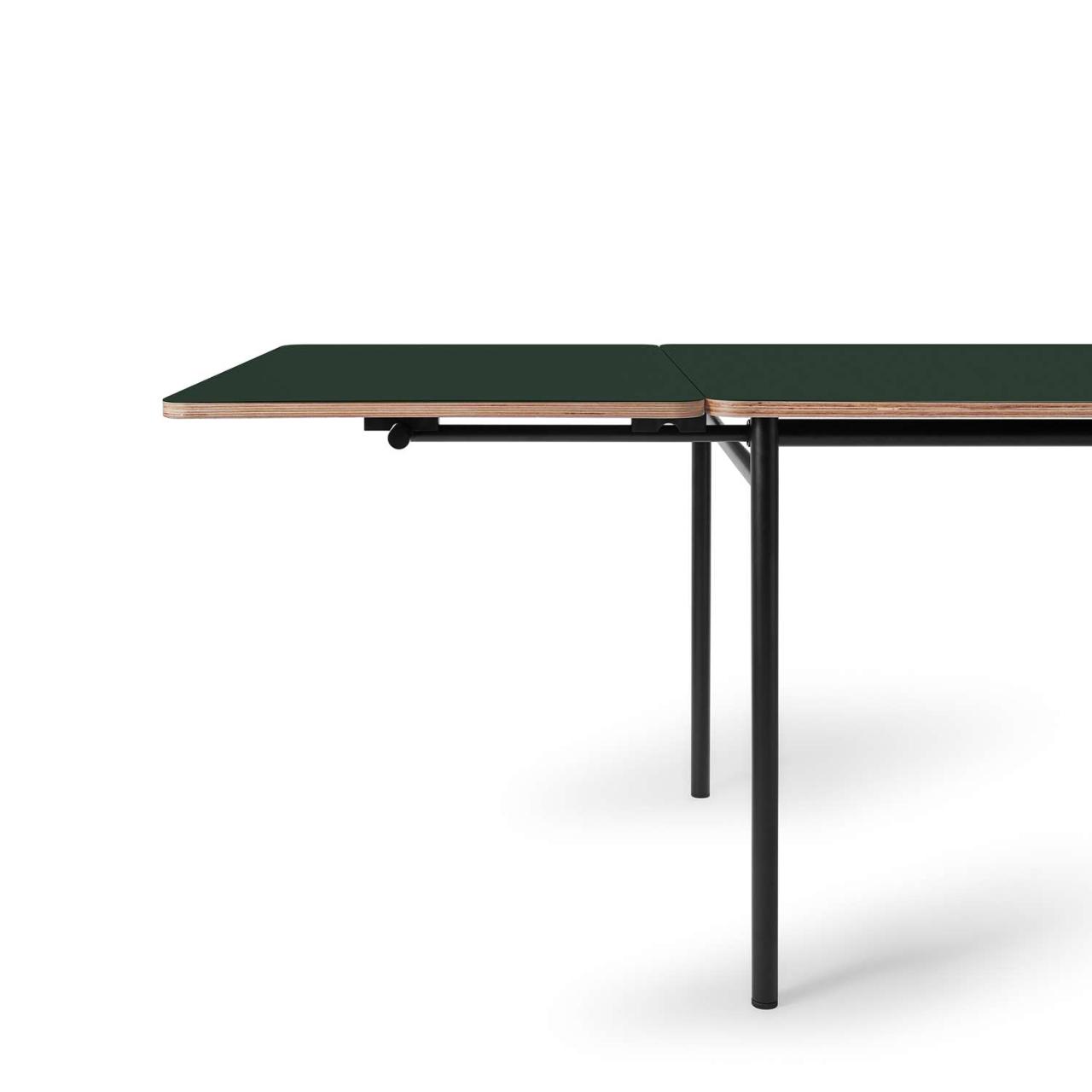 TAFFEL extension leaf - Conifer